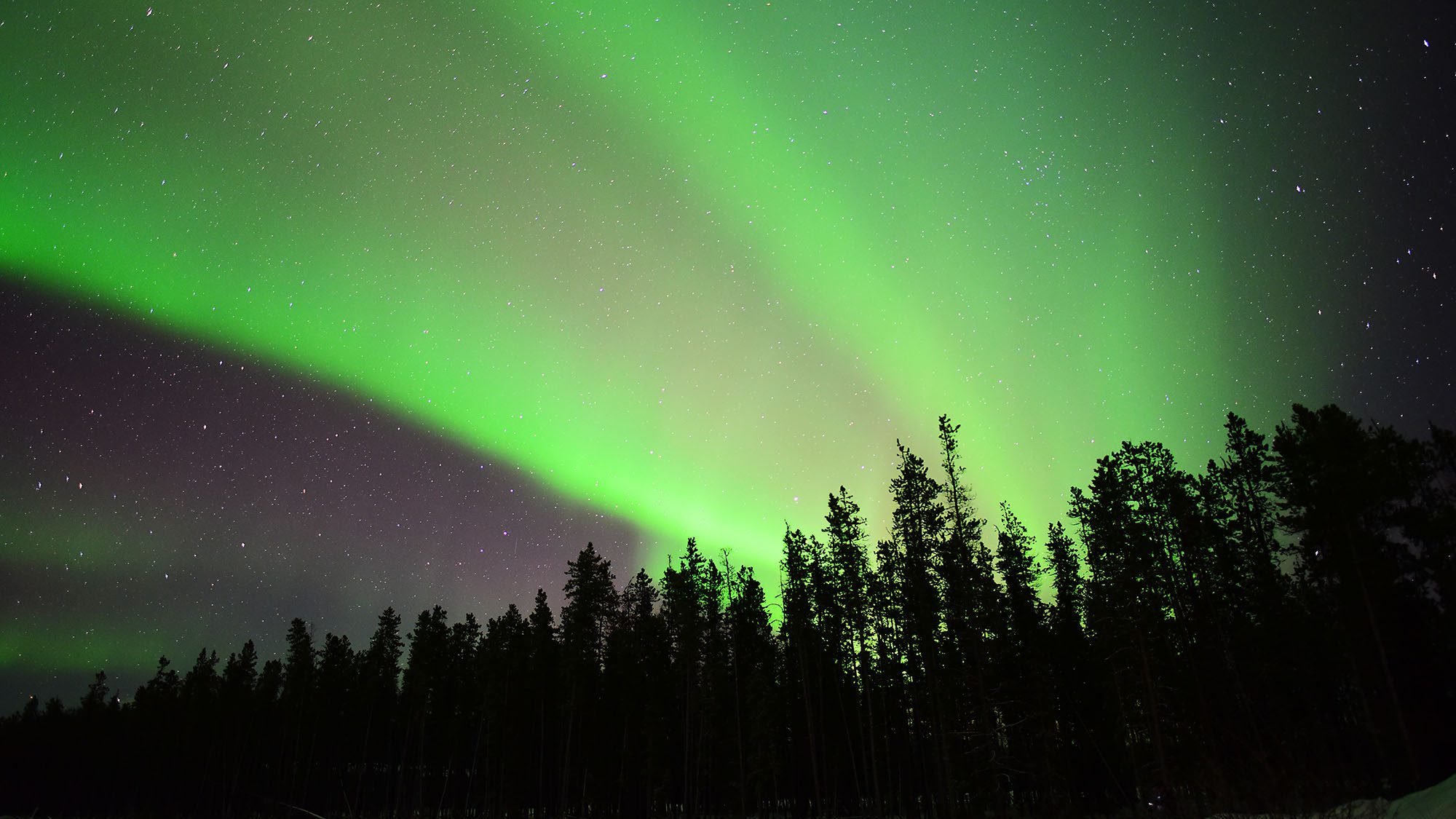Winter Whitehorse Aurora Viewing Classic 3 Days (with Roundtrip flight from Vancouver)