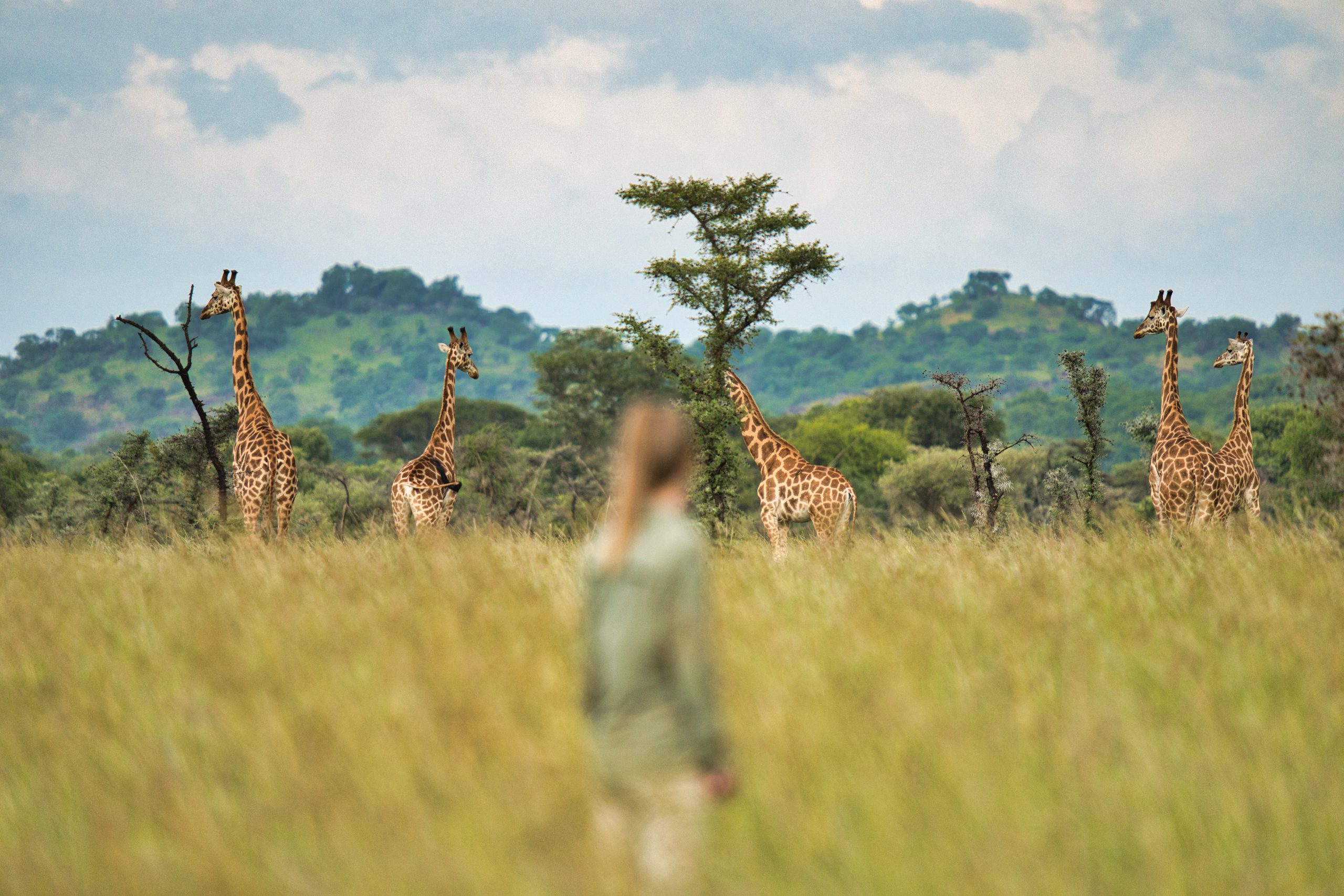The Wonders of Uganda: 12-Day Highlights Safari & Gorilla Tracking (All rates are listed in USD.)