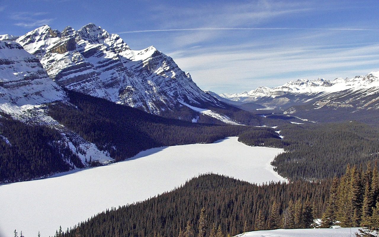 Best Glaciers of Canadian Rockies One Day Tour